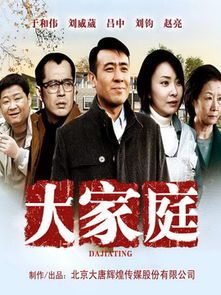 大家庭：血脉相连的温情史诗