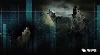 群狼环伺：黎冉番外之暗夜独行