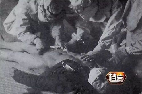 《狼狩猎：731部队的银幕再现与历史反思》