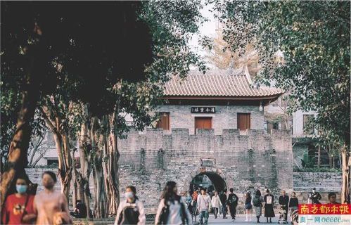 南山新景：北入口焕新颜迎客来