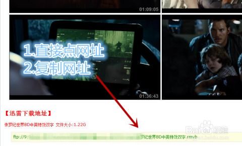 隐藏的步骤：电影下载的隐秘世界