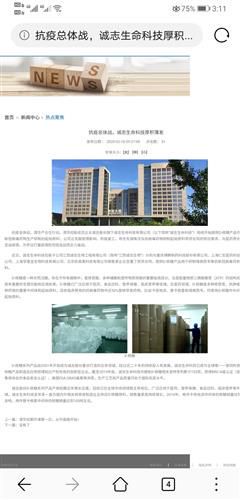 南山控股董秘最新回应：投资者关切问题全解析