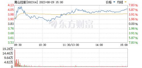 南山控股涨停背后的驱动因素解析