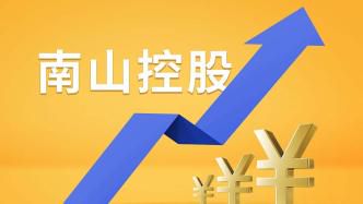 南山控股单日暴涨9.92%，背后逻辑与市场展望