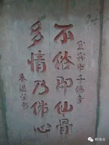 春梦无痕：探寻“一场春梦不分明”的意境