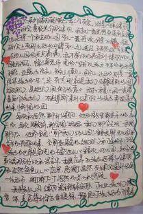 斯特拉的漂流日记：一场心灵的远航