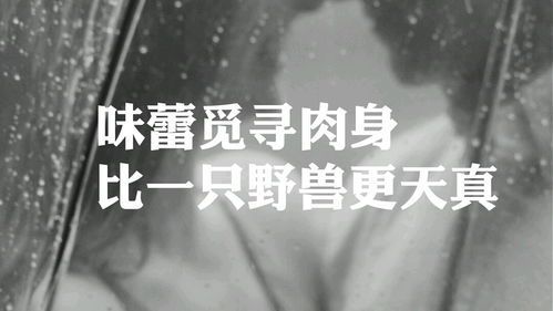 一场春梦的深意与妙用
