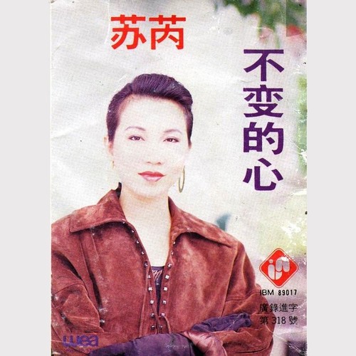 感动我歌词-苏芮