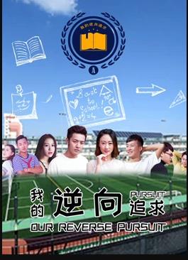 我的逆向追求电影HD国语版