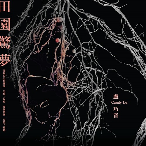田园惊梦歌词-卢巧音