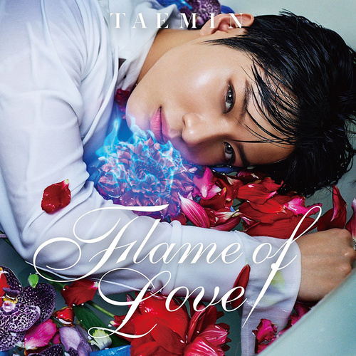 Flame of Love歌词-泰民 (태민)