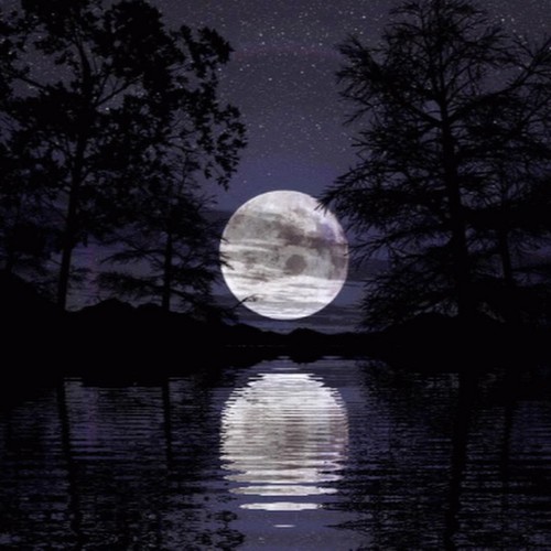 月夜星空- (箫曲) (箫曲版)歌词-赵海洋