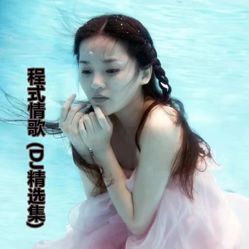 不要对我说 (Dj版伴奏)歌词-程响