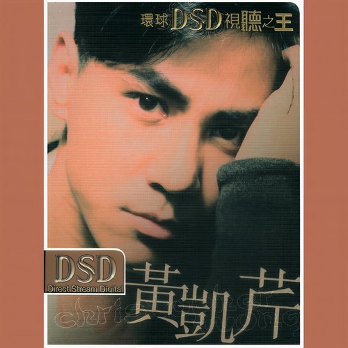 伤感的恋人歌词-黄凯芹