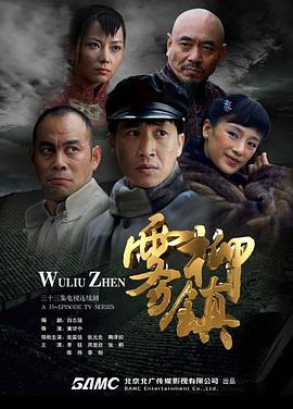 雾柳镇电视剧全33集