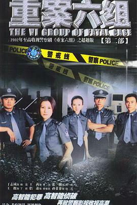 重案六组2电视剧全32集