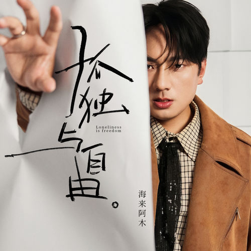孤独与自由 (DJ铁柱版)歌词-海来阿木
