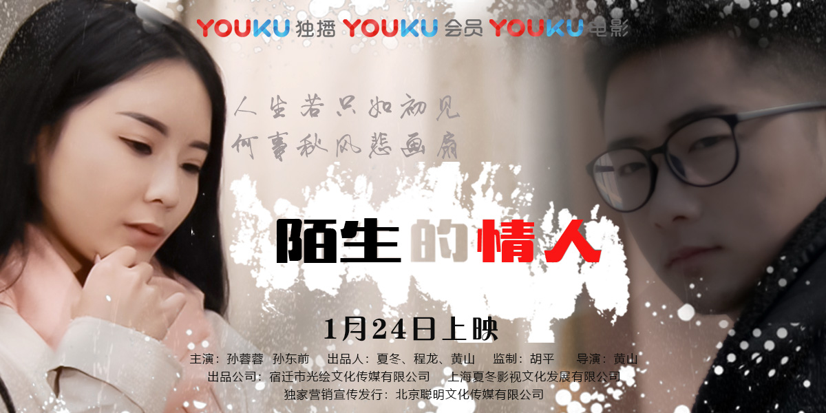 陌生的情人电影正片