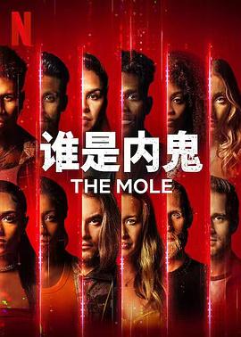 谁是内鬼第一季电视剧全10集