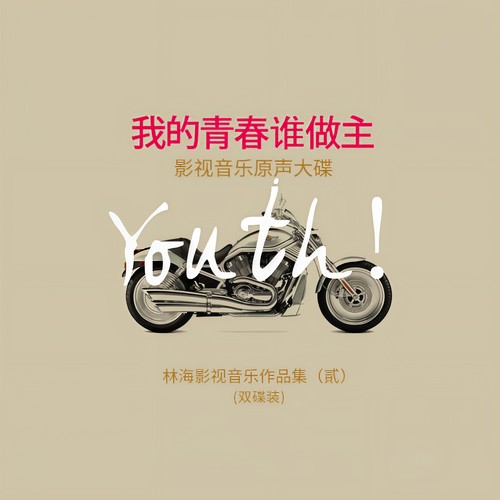 缠绵·思念的青春歌词-林海