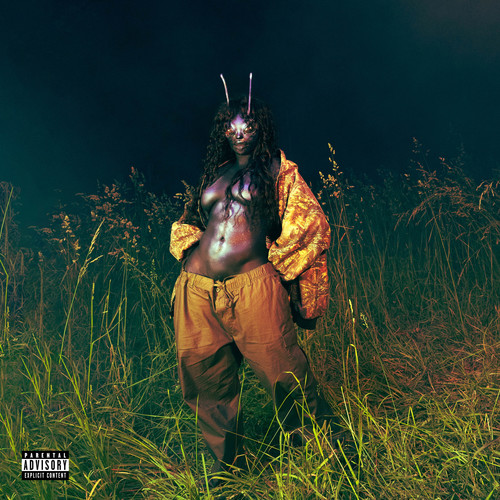 Ghost in the Machine (Explicit)歌词-SZA / Phoebe Bridgers