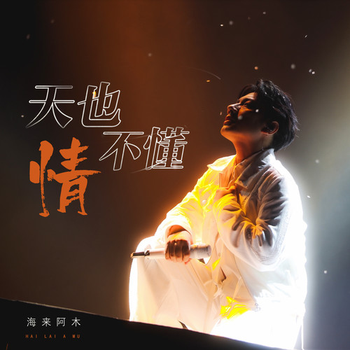 天也不懂情歌词-海来阿木