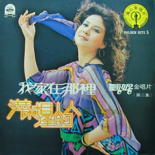 爱情不回头歌词-甄妮
