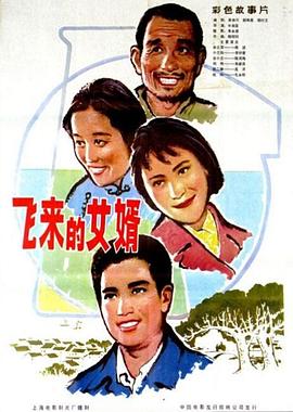 飞来的女婿电影HD国语