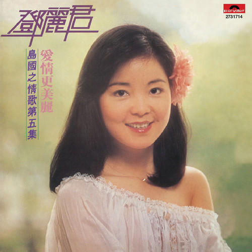 你装做不知道歌词-邓丽君