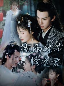 微雨时节恰逢君短剧全82集