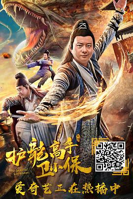 护龙高手卫小保电影正片