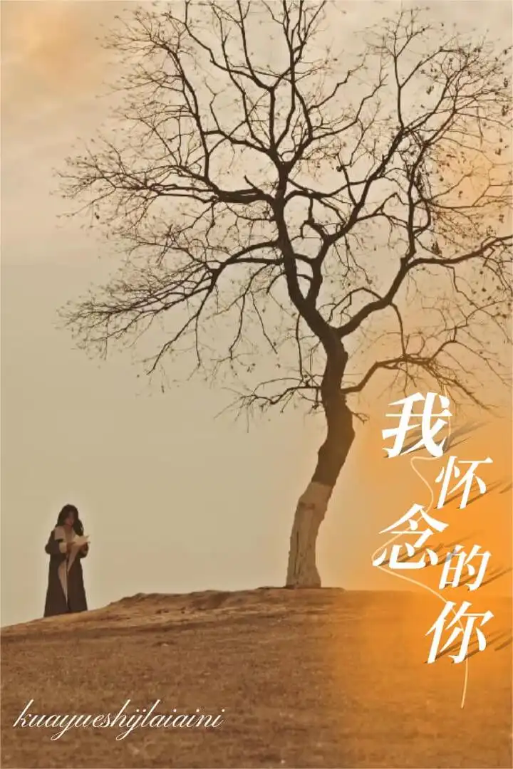 我怀念的你 跨越时间来爱你短剧全38集