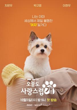 今天也很可爱的狗电视剧全14集