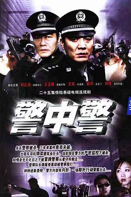 警中警电视剧全23集